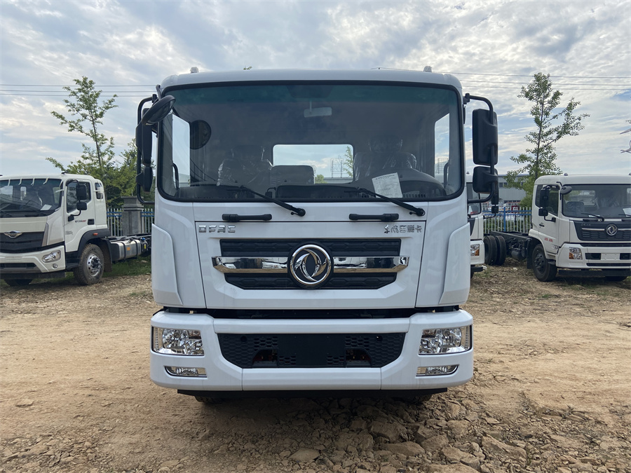 東風(fēng)D9（3950，康明斯230）國(guó)六 內(nèi)飾照片圖