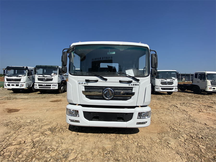 東風(fēng)D9（3950，玉柴165）國(guó)六 內(nèi)飾照片圖